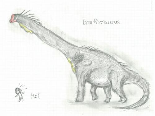 ブラキオサウルス５