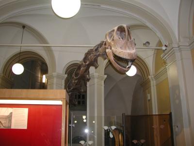 ブラキオサウルス２