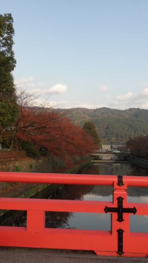 京都ｸﾞﾙﾒ紅葉４